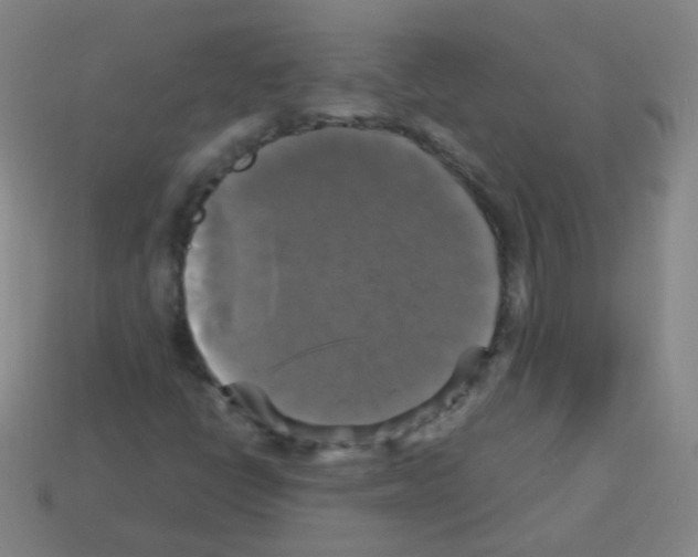 X0000113251398200910221111