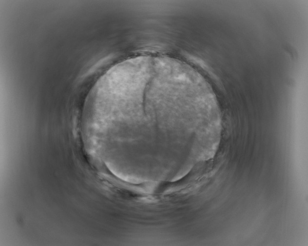 X0000113251399200910221111