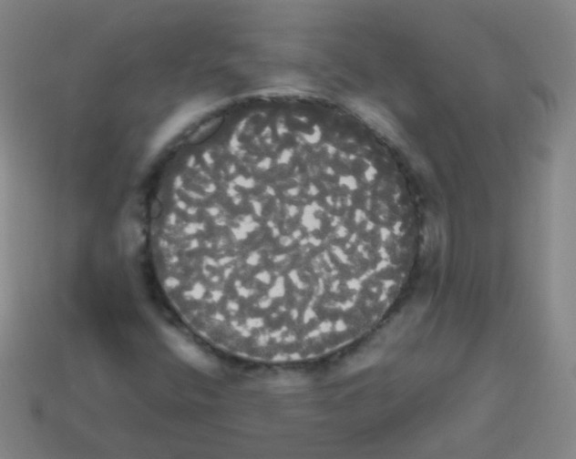 X0000113251400200910221111