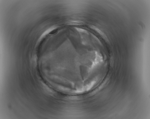 X0000113251402200910221111