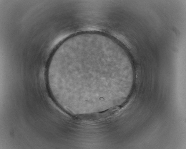 X0000113251404200910221112