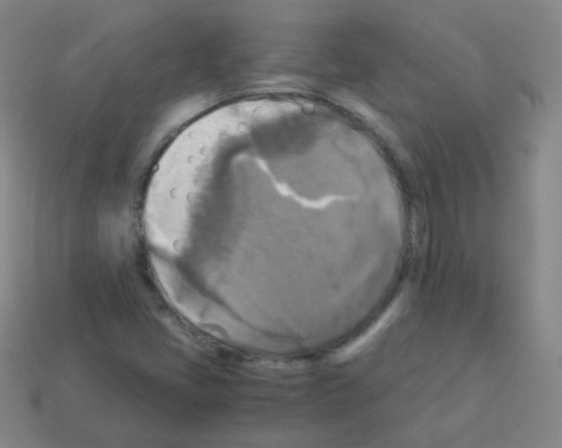 X0000113251405200910221112