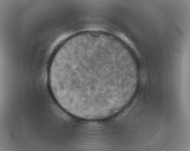 X0000113251408200910221112