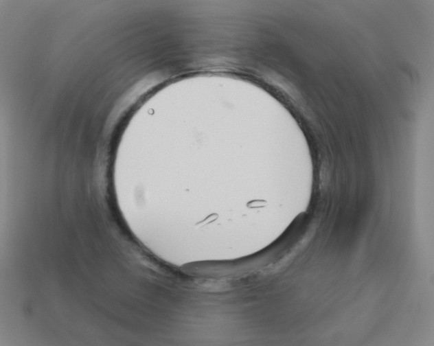 X0000113251410200910221112