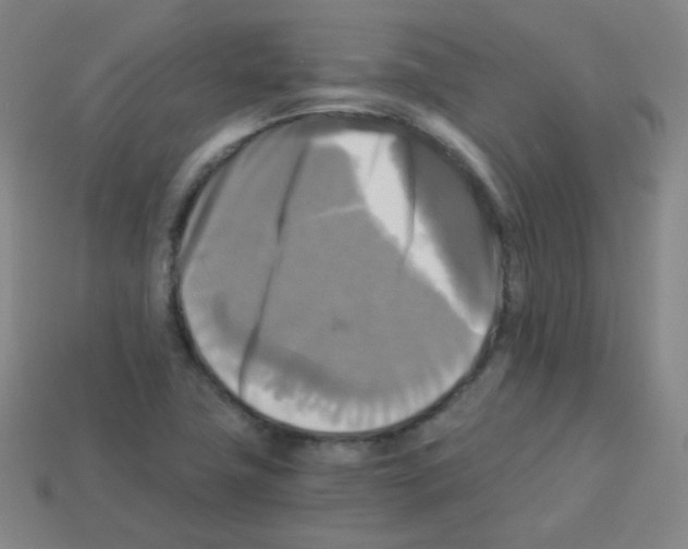 X0000113251411200910221112