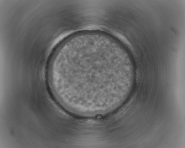 X0000113251412200910221112