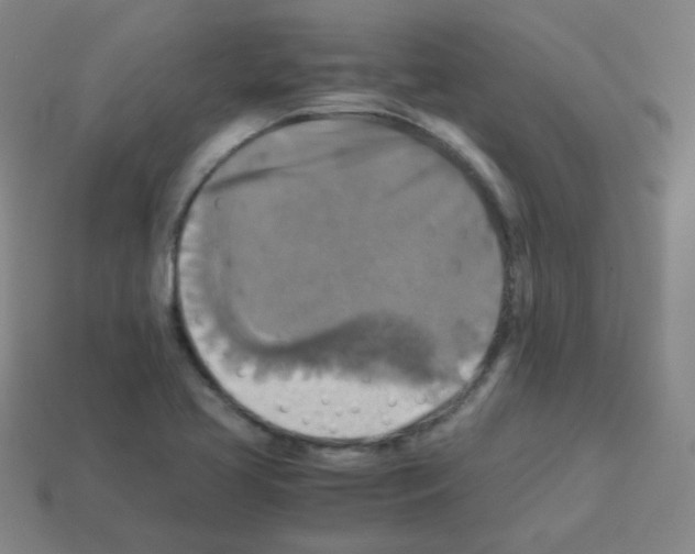 X0000113251413200910221112