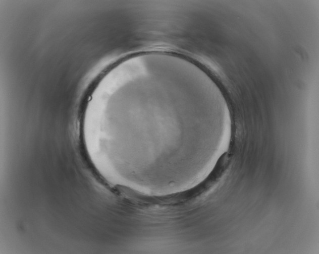 X0000113251414200910221112