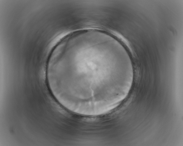 X0000113251415200910221112