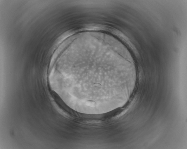 X0000113251417200910221112