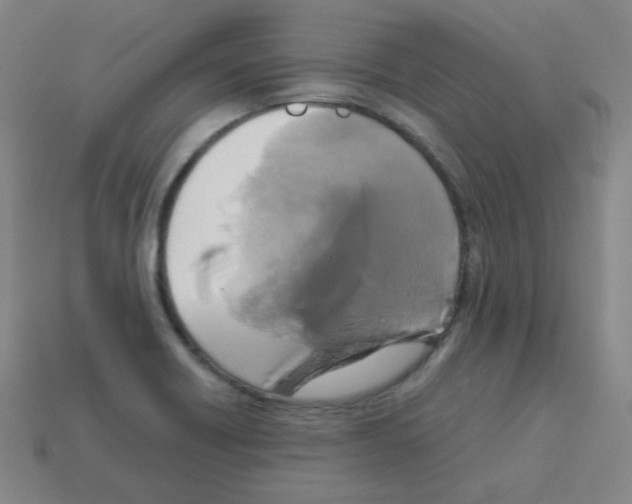 X0000113251418200910221112