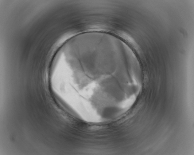 X0000113251419200910221112