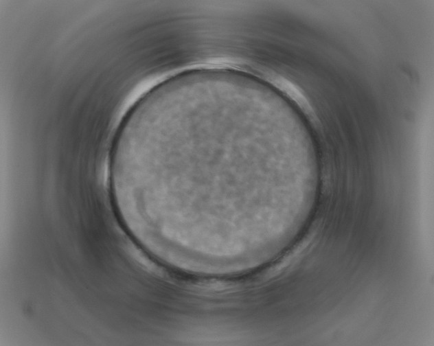 X0000113251420200910221112