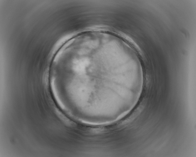 X0000113251421200910221112