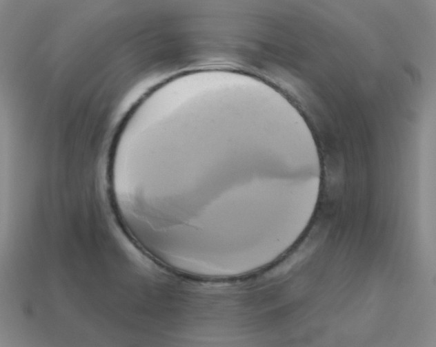 X0000113251422200910221112