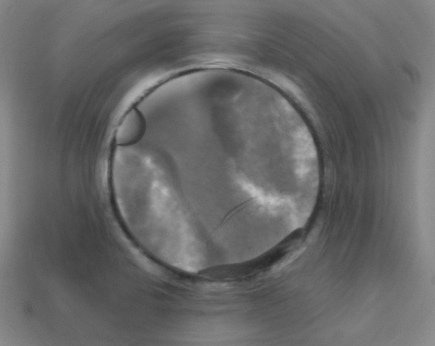 X0000113251424200910221112