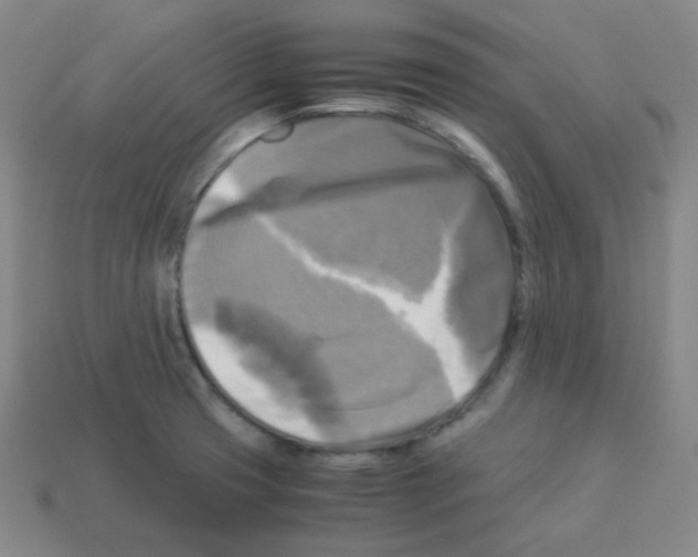 X0000113251425200910221112