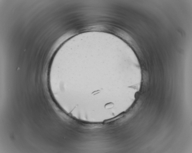 X0000113251426200910221112