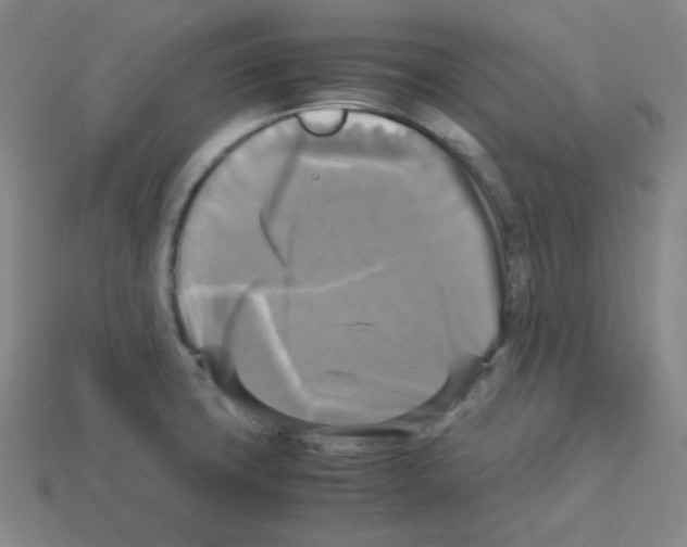 X0000113251427200910221112