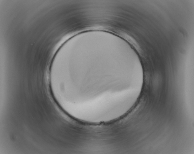 X0000113251428200910221112