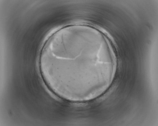 X0000113251429200910221112