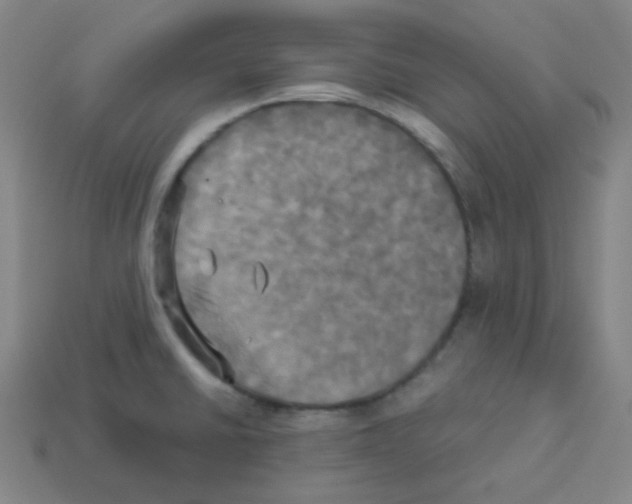 X0000113251430200910221112