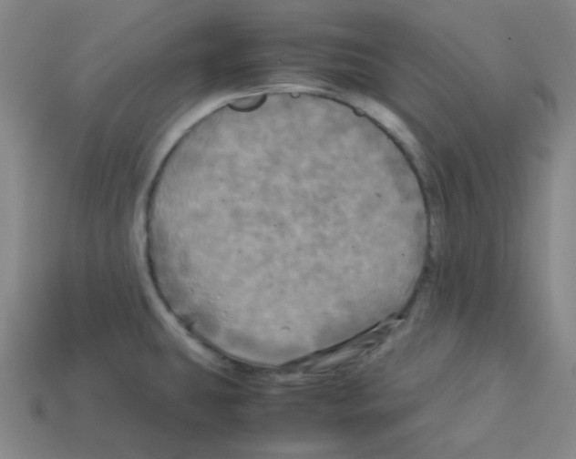 X0000113251431200910221112