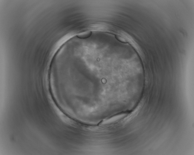 X0000113251434200910221112