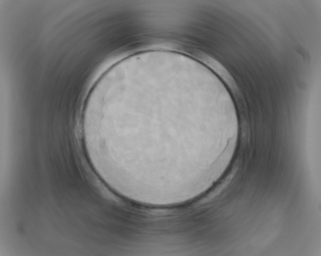 X0000113251436200910221112