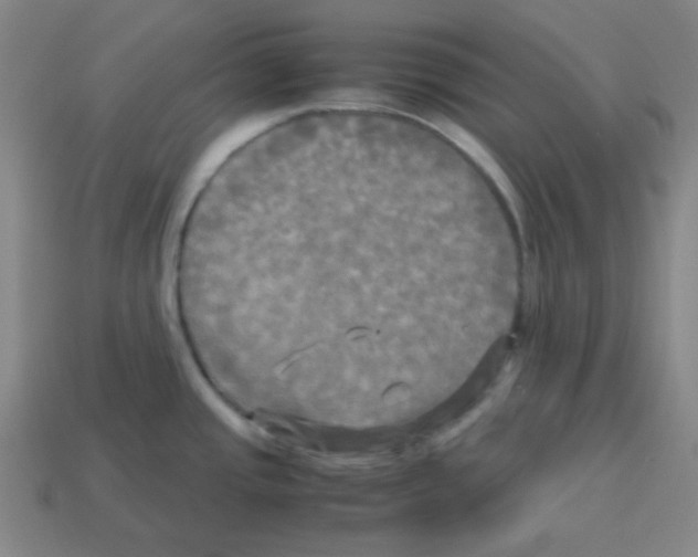 X0000113251437200910221112