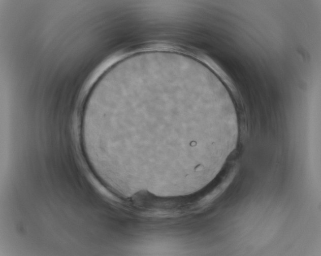 X0000113251438200910221112