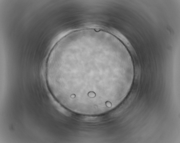 X0000113251439200910221112