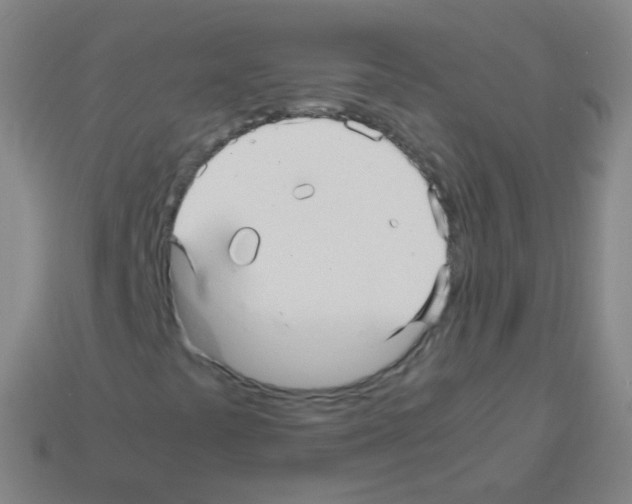 X0000113251441200910221111