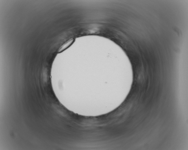 X0000113251442200910221111