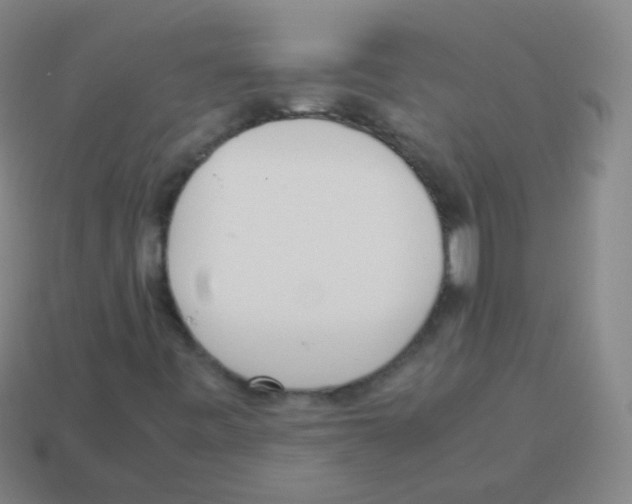 X0000113251443200910221111