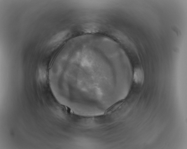 X0000113251444200910221111