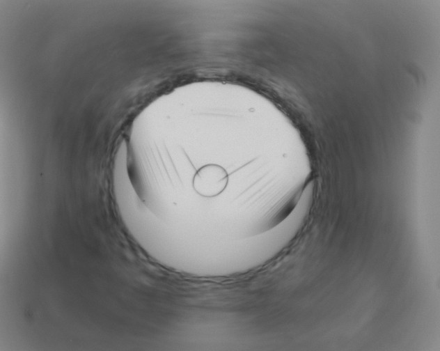 X0000113251445200910221111