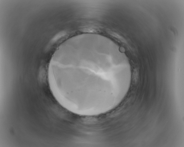 X0000113251446200910221111