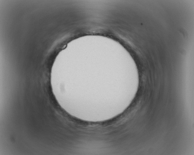 X0000113251447200910221111