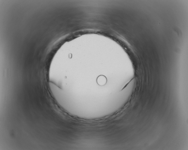 X0000113251448200910221111