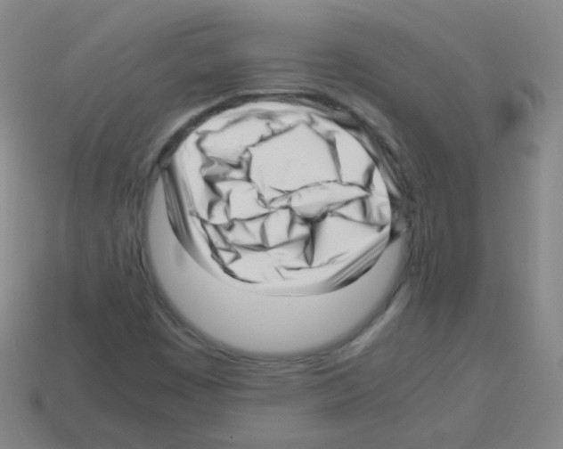 X0000113251449200910221111