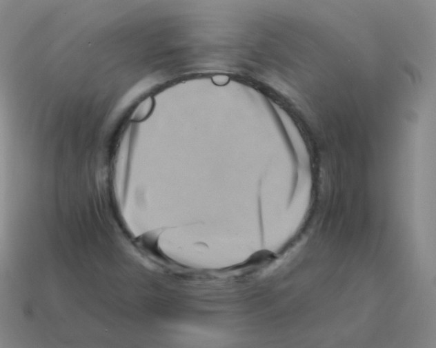 X0000113251450200910221111