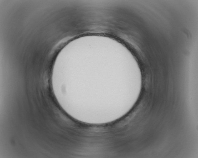 X0000113251451200910221111