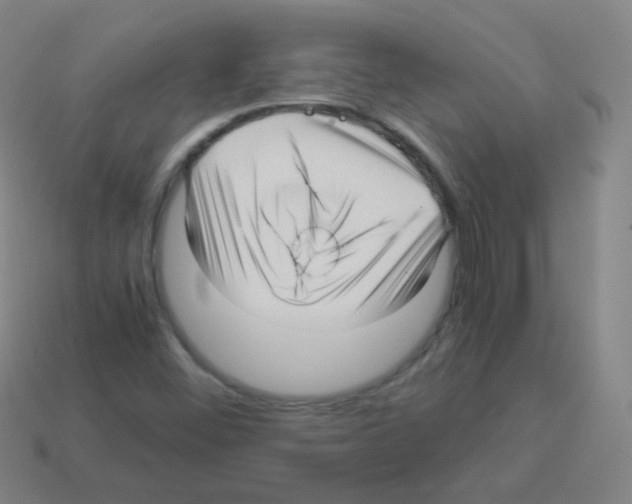 X0000113251452200910221111