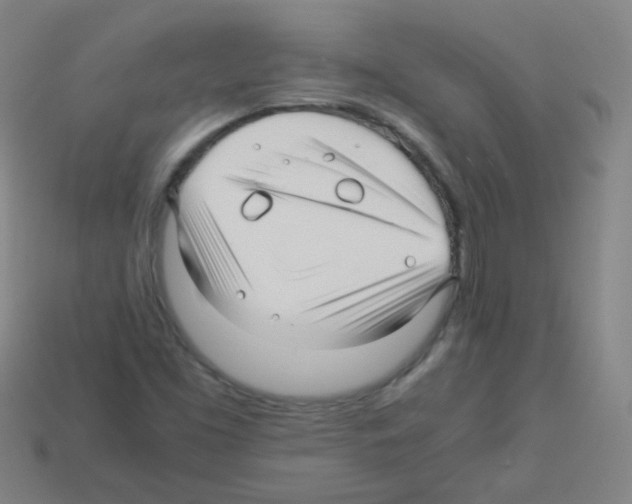 X0000113251453200910221111