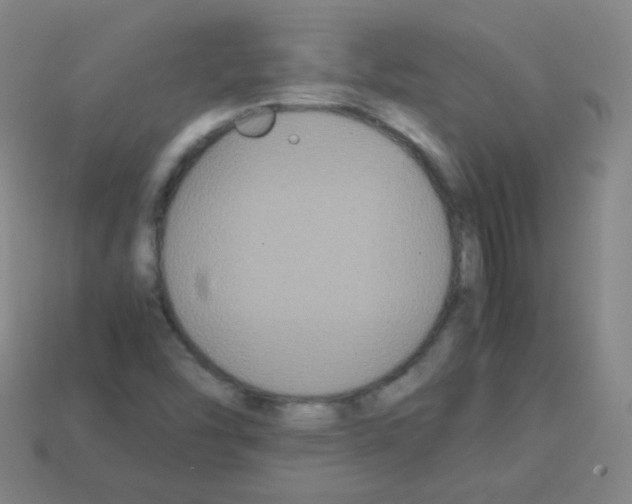 X0000113251454200910221111