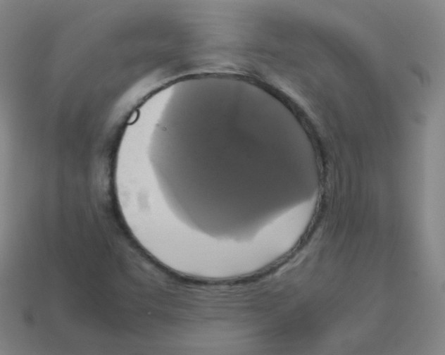 X0000113251455200910221111