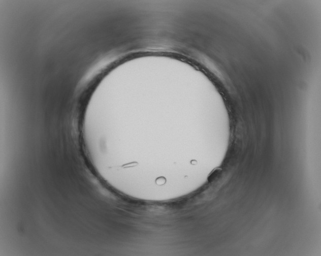 X0000113251456200910221111