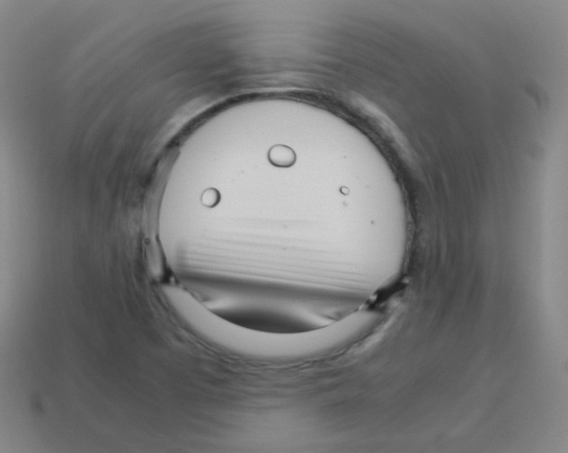 X0000113251457200910221111