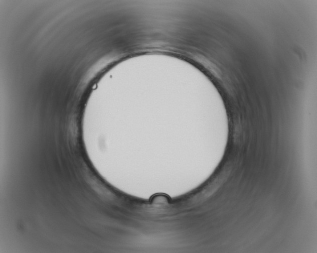 X0000113251458200910221111